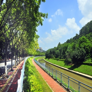 黑臭水体变身“网红打卡地”看城市“海绵”如何发挥大作用